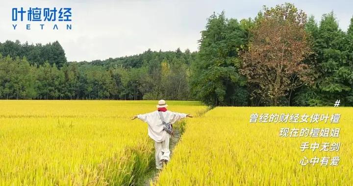 特朗普成了救命稻草？至暗時刻，中國巨頭迎來重大轉機