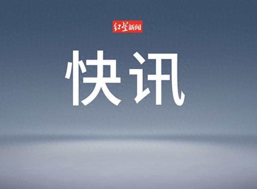 公安部：去年共有208名民警、174名輔警因公犧牲