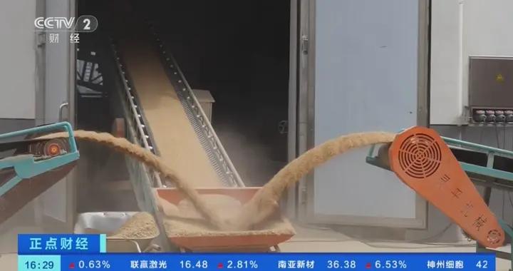 江蘇丹陽啓用高標準糧倉！日入庫糧食約1000噸