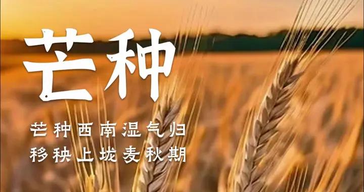 爲啥“男人怕芒種”？今日芒種，提醒：忌3事，喫3樣，平安過夏天