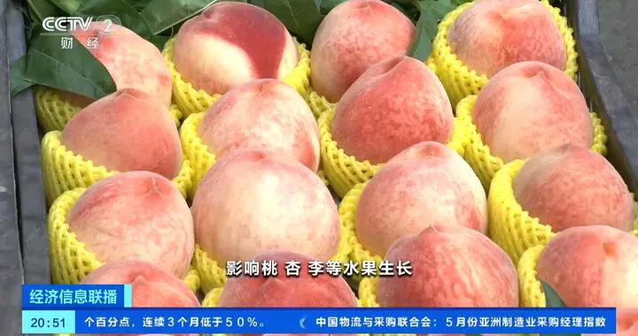 5月份全國水果均價小幅上漲！後續價格走勢如何？一文了解→
