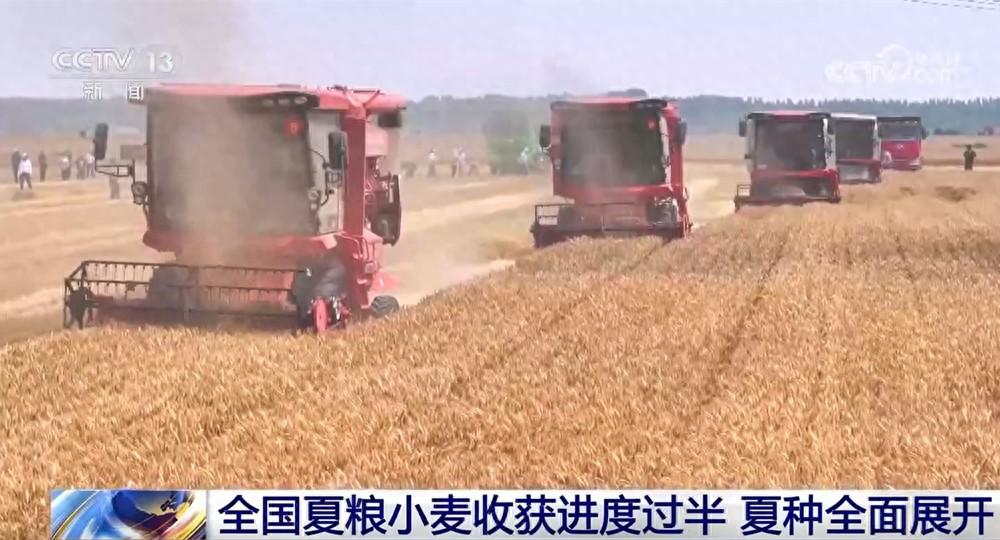 共享曬糧點、快速烘乾 、24小時爲農服務 各地推出暖心舉措服務夏收