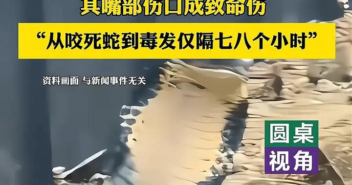 英雄狗媽爲護崽撕咬毒蛇成三段，中毒後撐到餵飽孩子才倒下