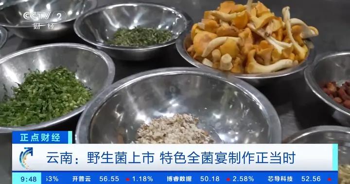 雲南野生菌佔全國九成以上 雨季上市催熱“全菌宴”→
