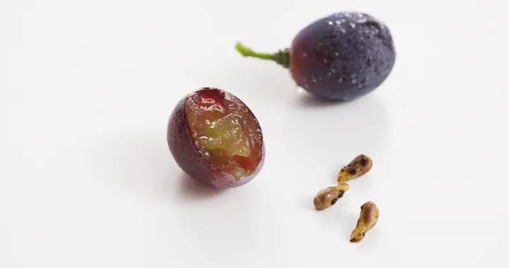 喫葡萄留籽虧嗎？這顆“養生小鋼炮”讓健康“籽”得其所