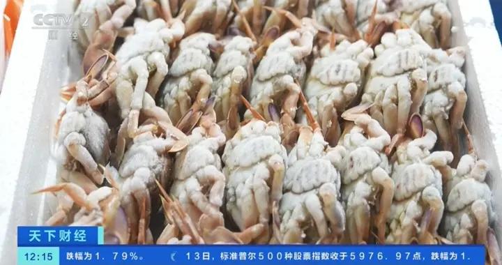 寧波休漁期凍品海鮮“接棒”生鮮，交易火爆！凍鯧魚等熱賣→