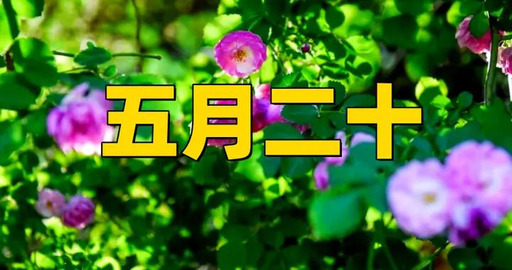 不是迷信！明日五月二十，記得：1不說，2不送，3要做，健康喜樂