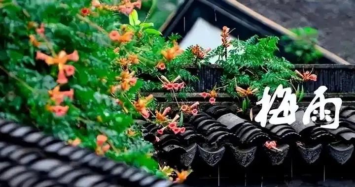 不是迷信！進入梅雨季後，大家牢記：1不穿，2不喫，3不去，4多喝