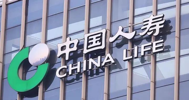 中國人壽集團董事長蔡希良：探索險資與政府基金接力投資模式