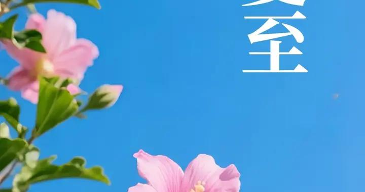 夏至到，晝最長！陽光最慷慨的日子來了。 記得多喝水，防暑降溫