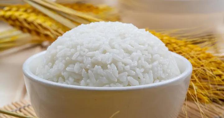 減肥黨必看！米飯到底是“長胖元兇”還是“能量夥伴”？