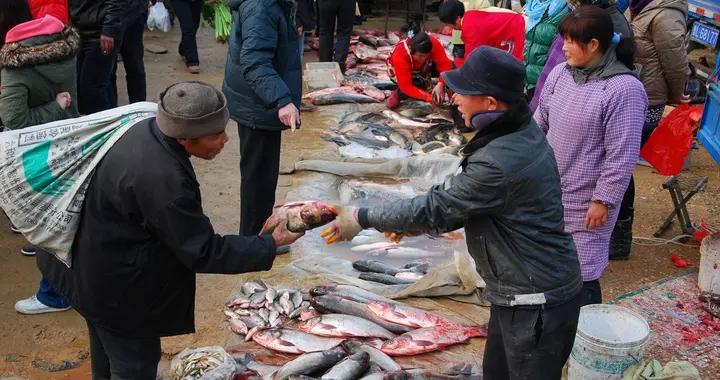 買魚時，爲什麼魚販子經常用黑色塑料袋？原來有“貓膩”，快看看