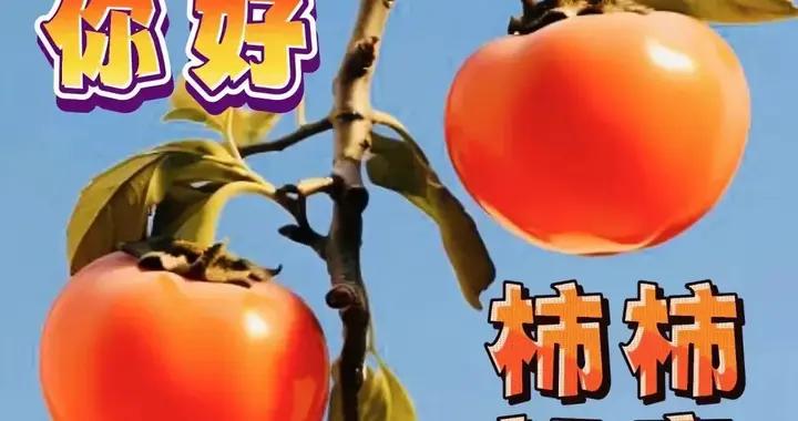 5月13日早上好最新版本今天早上好精選圖片，問候最暖，祝福最深