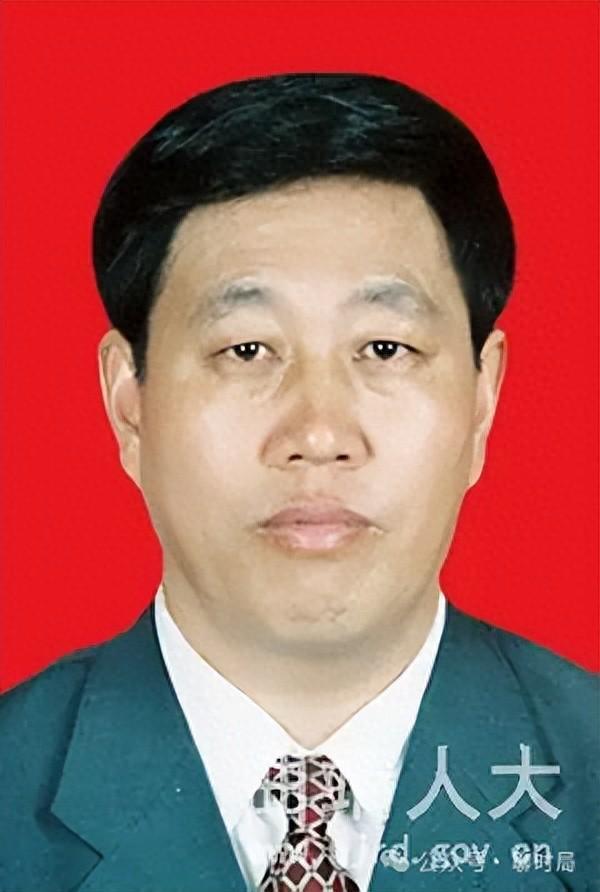 中央巡視期間，70歲劉海芳主動投案