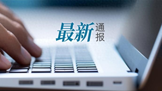 廣西被查貪官家中發現很多金磚？官方闢謠