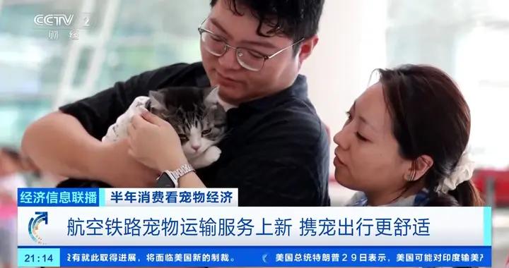 @鏟屎官們！航空鐵路寵物運輸服務上新，攜寵出行更舒適