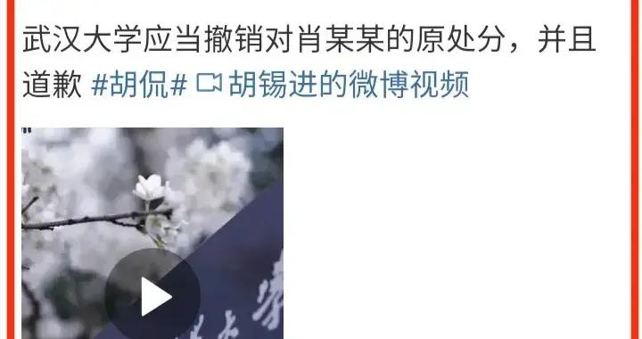 胡錫進建議撤銷肖同學的處分，希望不要網暴楊某某