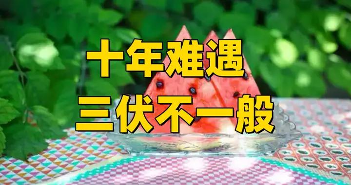 今年三伏不一般，10年難遇，7月20日入伏，大家早知道，早做準備