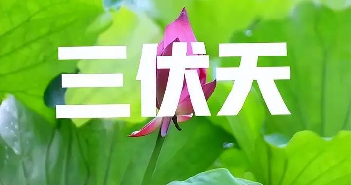 今年三伏天10年一遇，老人說有4大特點，哪天入伏？哪天出伏？