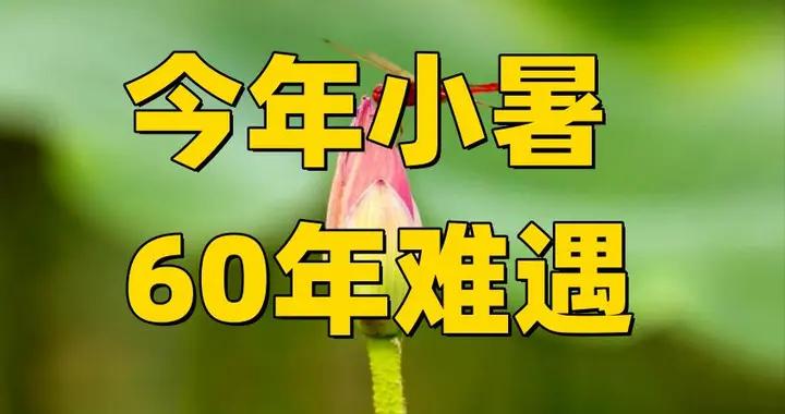 不是迷信！明日小暑60年一遇，牢記最不能做的5件事，別大意了