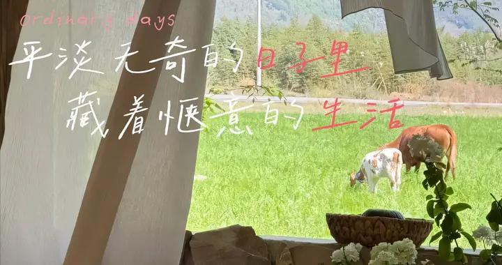 夏日田園壁紙，心之所向，山野遊之