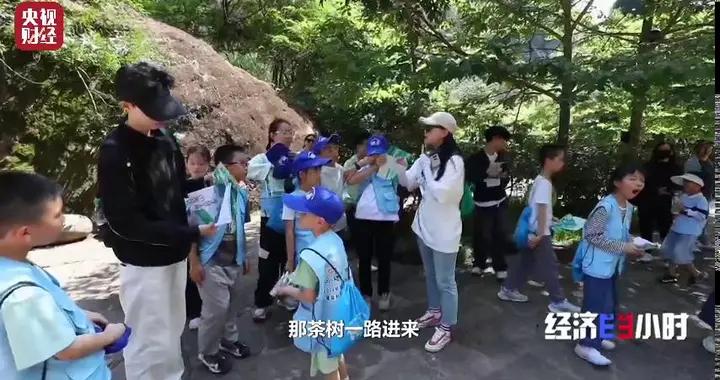 尋茶之旅、九曲溪漂流...解鎖國家公園“新玩法”→