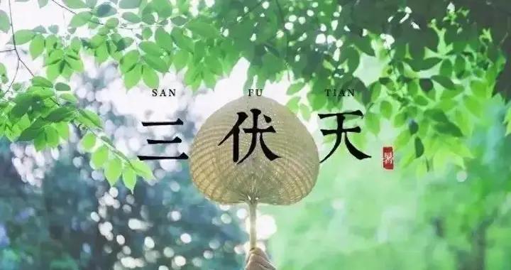 2025年三伏天時間表來了，共30天，哪天入伏？今年三伏天會熱哭嗎