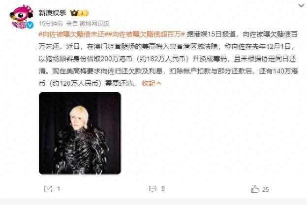 向佐被曝欠百萬賭債未還，經紀人回應：他本人沒有參與賭博，“你覺得向家差那點錢嗎？”