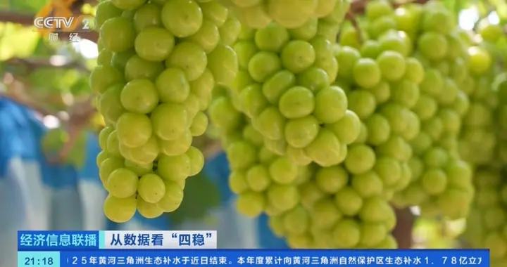 冷藏集裝箱需求大增！外貿“含金量”“含新量”不斷走高