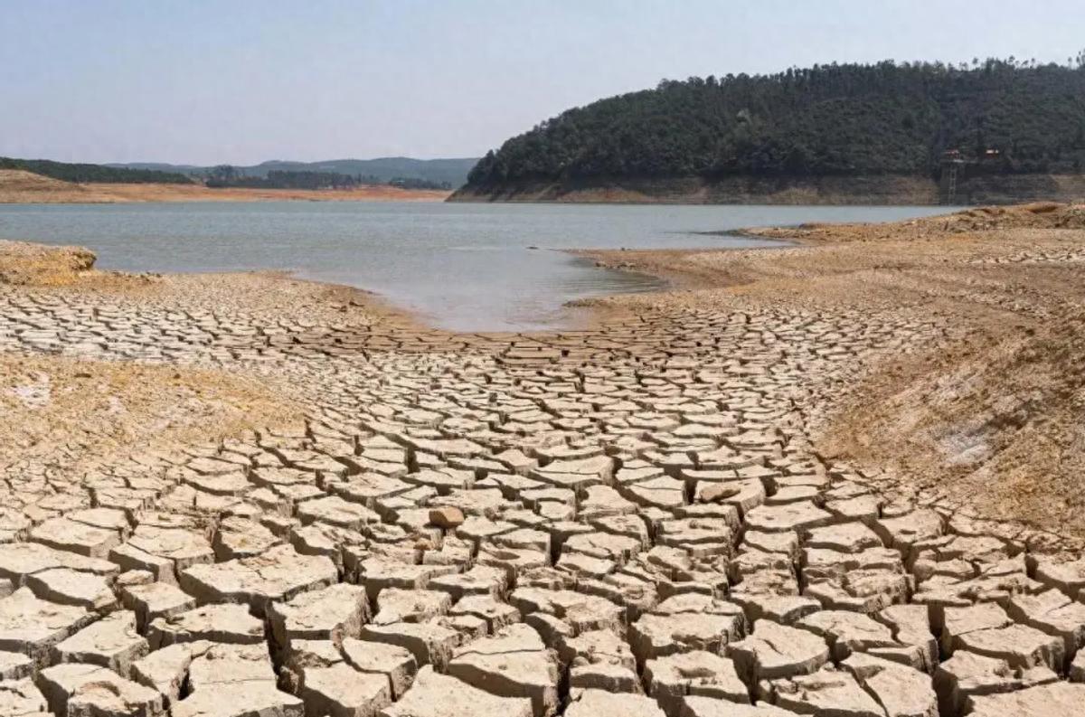 超40度高溫又回來了！今夏史上最熱？拉尼娜、厄爾尼諾都出現反常