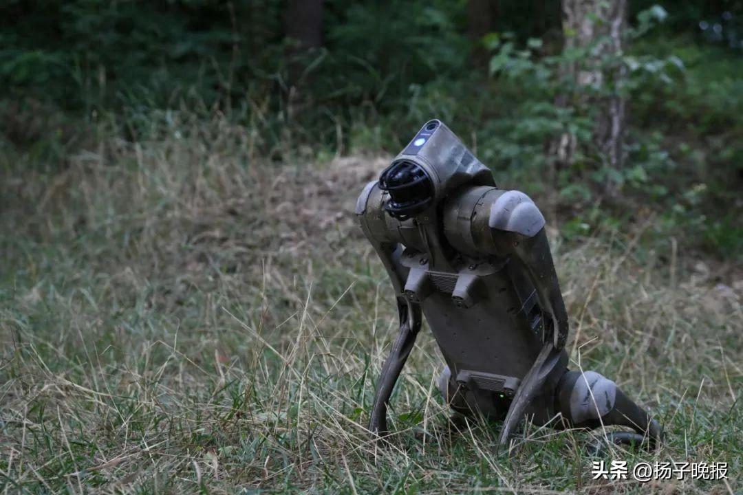 烏軍：史上首次，俄軍向機器人部隊投降