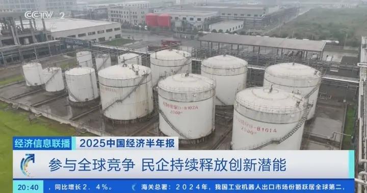 參與全球競爭，持續釋放創新潛能！上半年民營企業繼續領跑外貿→