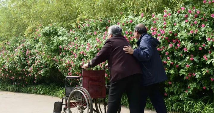 過了50歲，過得依舊“很苦”的人，大多輸在了3件事情上