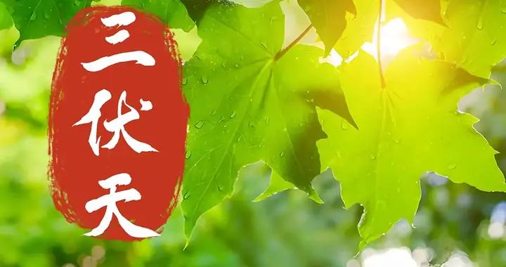 7月20入伏，要懂忌嘴，多喫3菜，少喫2果，開胃防暑，順利過苦夏