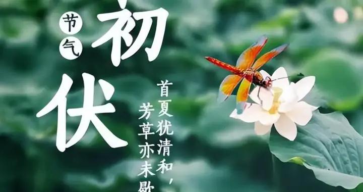 不是迷信！明日入三伏，牢記最不能做的5件事，別忘記告訴家人