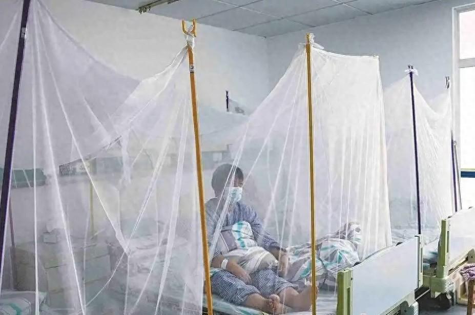 獨家｜張文宏解釋爲何此次基孔肯雅熱病毒在我國南方部分地區傳播較快