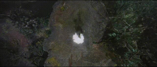 《凡人修仙傳》首播好評如潮，連追4集，我想說：這仙俠劇要爆