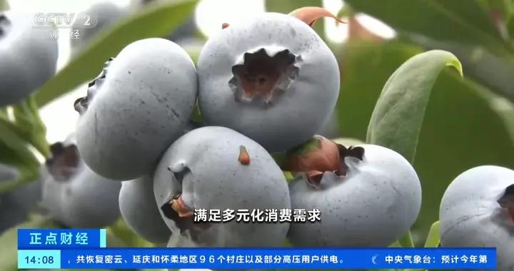 農業農村部：擴總量 促優質 優化綠色農產品供給