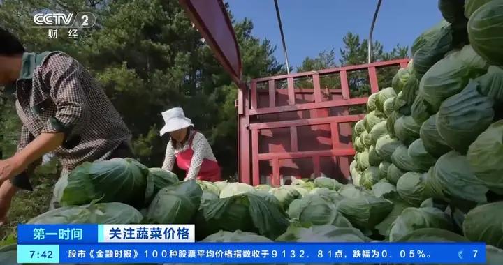 農業農村部：7月份全國蔬菜價格環比上漲0.5%