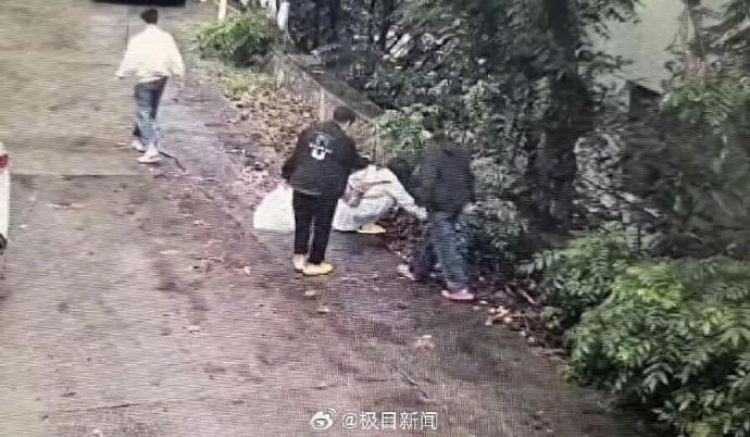 快評丨別讓一枚“板栗殼”傷害了景區聲譽