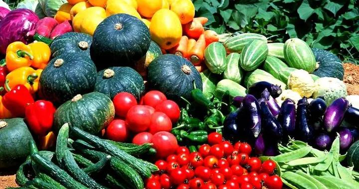 11月，使勁喫這菜，一潤肺，二降火，三明目，四強免疫，別不懂喫