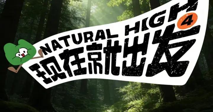 金晨“下車”引熱議：綜藝江湖裏的人情世故