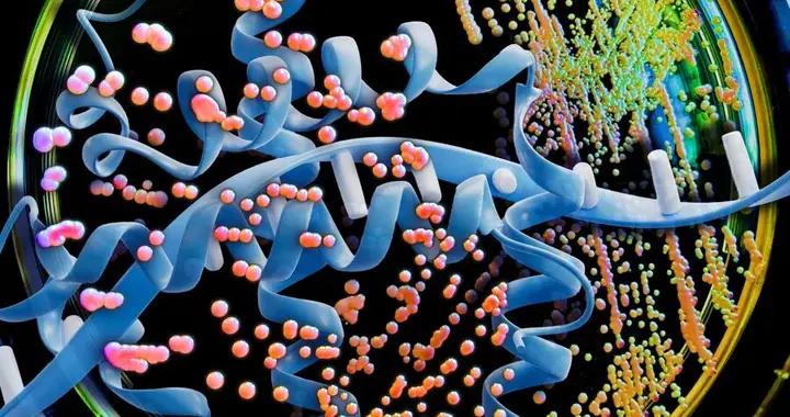 蛋白質藥物生產成本有望大幅降低！MIT用大模型優化酵母密碼子