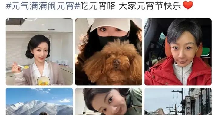 楊紫元宵放大招！董竹君白菊跨次元同框，piupiu搶鏡成最大贏家