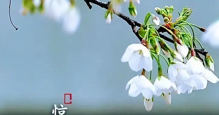 今日驚蟄，先別忙着洗臉！做好這2件事，馬年事事順利