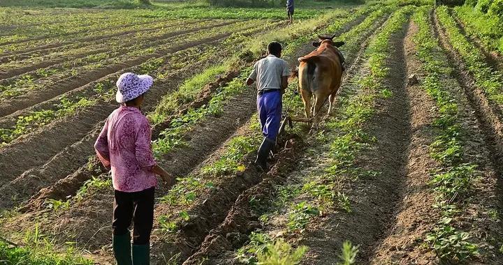 全國人大代表建議，70歲以上農民養老金三年提至月500元 | 財經解兩會