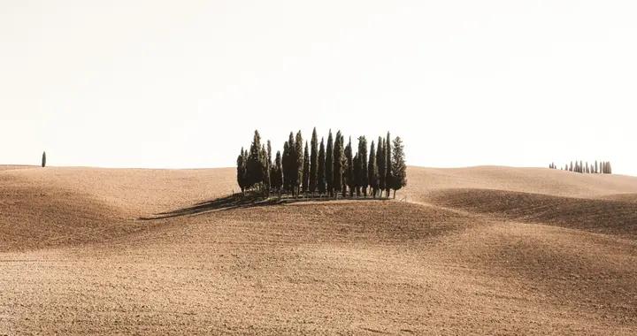 二氧化碳“施肥效應”可助沙漠添綠