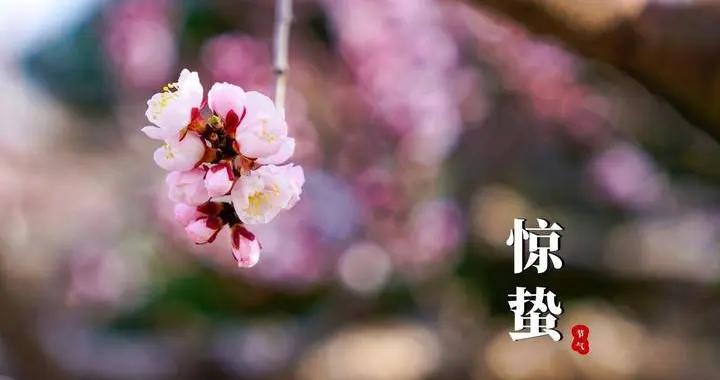 今天驚蟄，提醒大家：少喫牛羊肉，多喫3樣，馬年聚財日子順