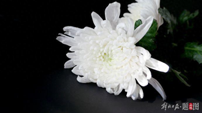 陳鐵迪同志逝世