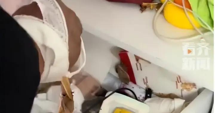 孩子不忍蠶蛹被喫偷藏牀頭櫃 破繭成蛾嚇懵媽媽